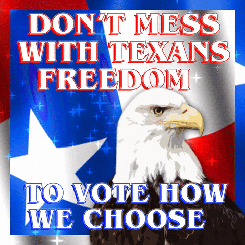 American Flag Texas GIF by Creative Courage