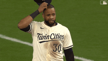 Sport What GIF by MLB
