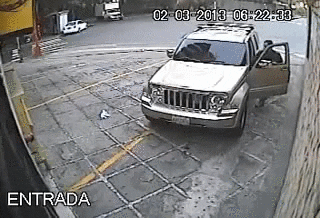 attempt robbery GIF