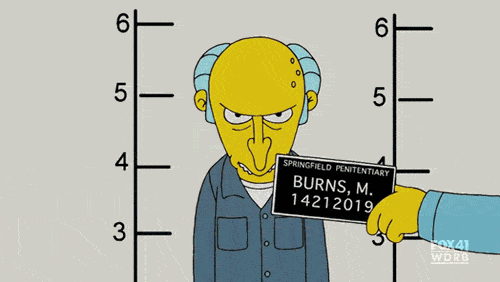 mr burns