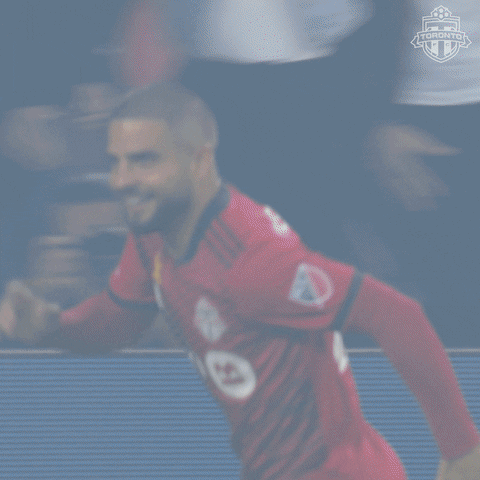 Happy Bmo Field GIF by Toronto FC