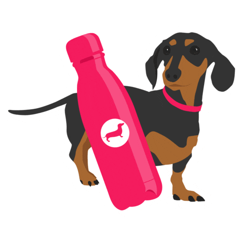 Dog Water Sticker by Vitality