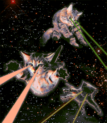 Major Lazer Cat GIF by Guldhart