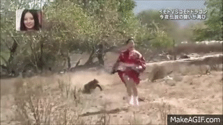 giphy.gif