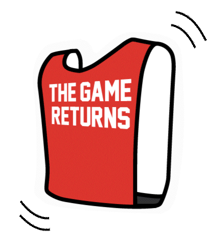 Thegamereturns Sticker by Netball Singapore
