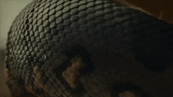 Billie Eilish GIF