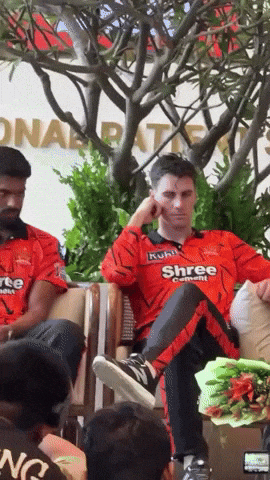 Ipl Sunrisershyderabad GIF