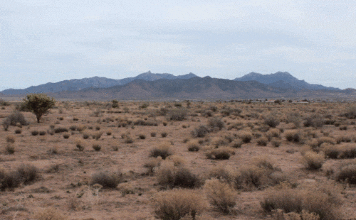 desert please GIF - desert please GIF