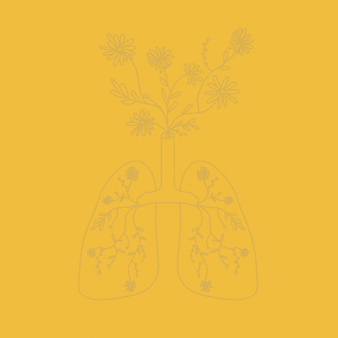 Stressed Deep Breath GIF by Zocalo Health