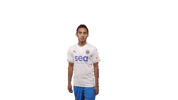 Singapore Premier League Goal Sticker by Lion City Sailors