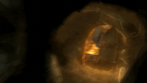 Gold Candle GIF - Find & Share on GIPHY