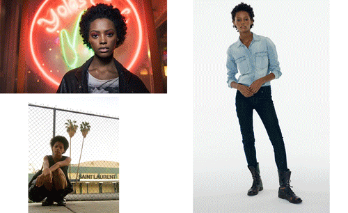 calvin klein collection