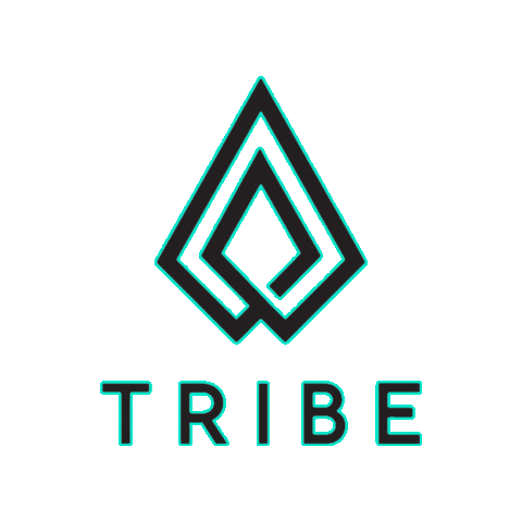Team Tribe Wrestling Club Sticker