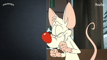 Happy Pinky And The Brain GIF by HULU