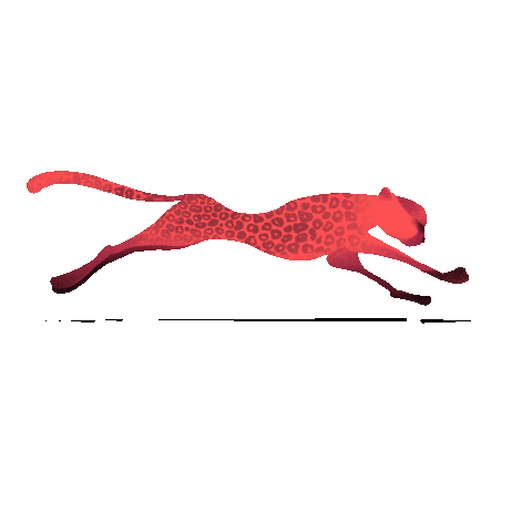 Leo Leopard Sticker by Sochi Hockey Club for iOS & Android