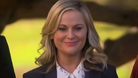 Image result for im ready gif leslie knope