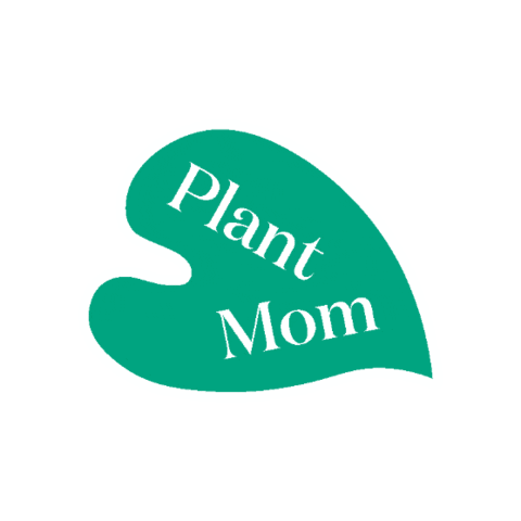Plants Monstera Sticker by The Sill
