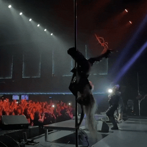 Poledance GIF by Murkagrey