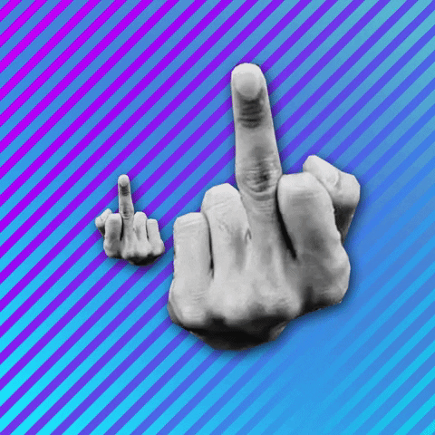 Middle Finger GIF by Fusselkotze
