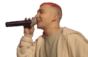 Musica Catalana Singer Sticker by Bali 13