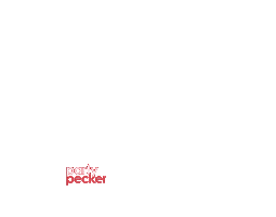 Party Sticker
