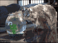 Hunter Becomes The Hunted Gifs Get The Best Gif On Giphy Hunter Becomes The Hunted Gifs Get The Best Gif On Giphy