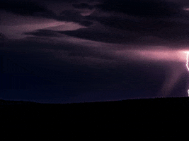 200.gif?cid=fc005b08ea282737c0de7f38cb8902eb673e810c1603279f&rid=200.gif&ct=g
