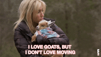 i love goats but i dont love moving GIF by E!
