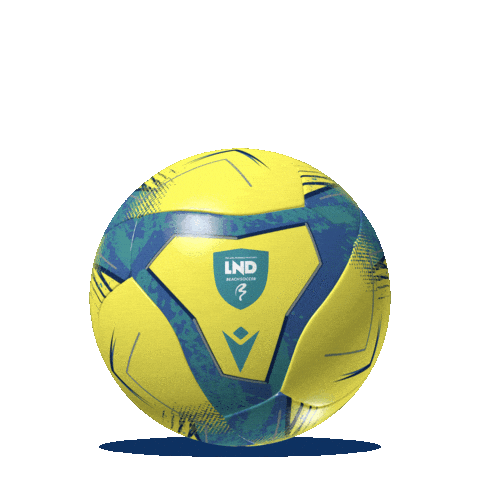Beach Soccer Sticker by Lega Nazionale Dilettanti