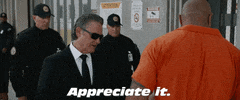 Appreciate It Fast And Furious GIF by The Fast Saga
