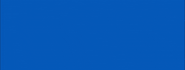WeYouth Organization GIF