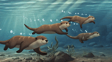 Otters