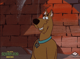 Scooby Doo Yes GIF by Boomerang Official