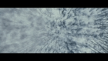 Music Video GIF by Asking Alexandria