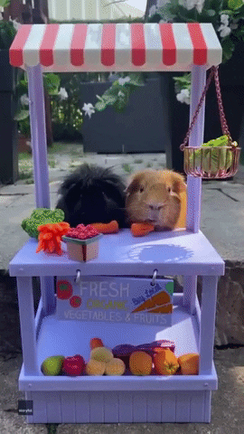 Vegetables GIF by Storyful