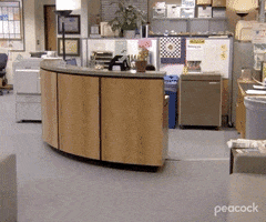 Leaving Season 5 GIF by The Office