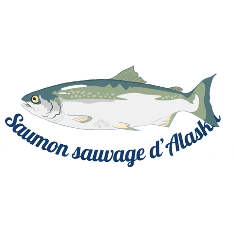 Ocean Swimming GIF by Alaska Seafood