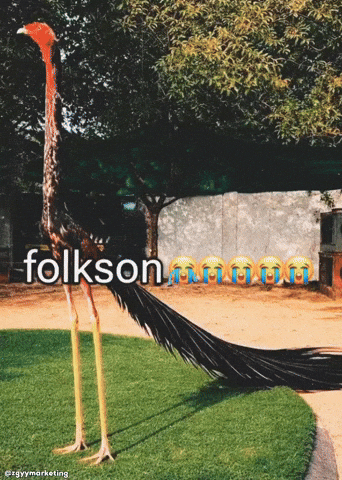 Son Folk GIF by Zgyy Marketing