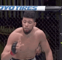 Fight Night Peace GIF by UFC