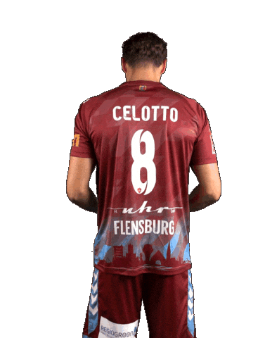 Sport Soccer Sticker by SC Weiche Flensburg