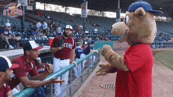EvansvilleOtters game fun baseball mascot GIF