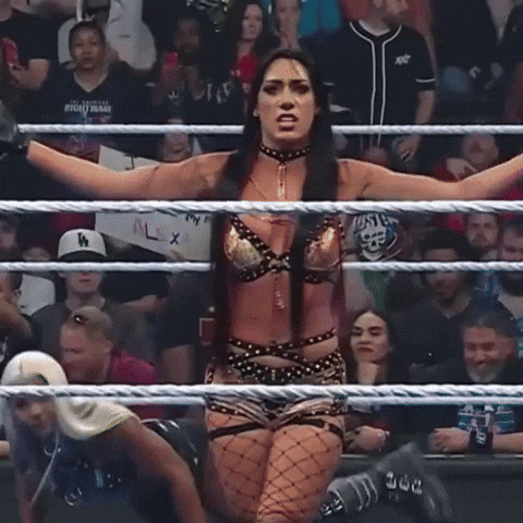 Wwe Point GIF