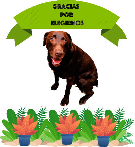 El Jardin de Rocco Sticker