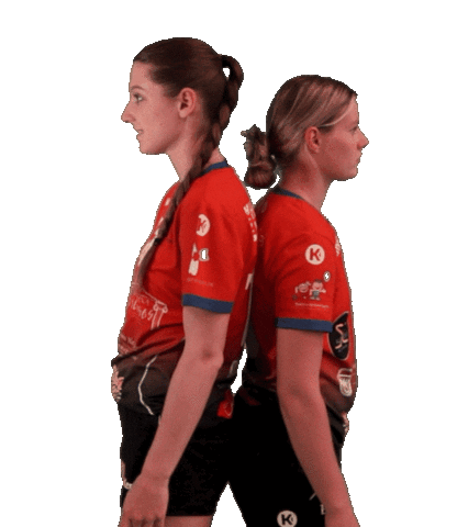 HSG Holstein Kiel / Kronshagen Sticker