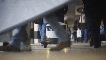 Driving College Students GIF by starshiprobots