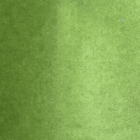 Arnoroberto GIF
