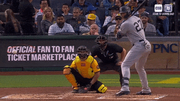 Smash Home Run GIF by YES Network