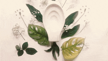 Freebleed GIF