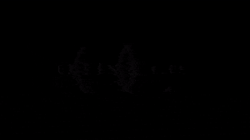 Otis and Company Real Estate Group GIF