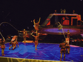 The Greatest Show Jump GIF by Ringling Bros. and Barnum & Bailey
